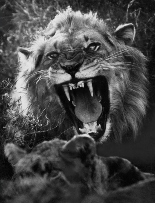 Rencontre white and black