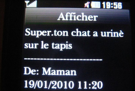 Site de rencontre type adopteunmec