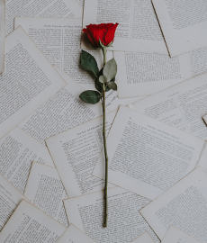 Top 5 des déclarations les plus poétiques d'Amours solitaires