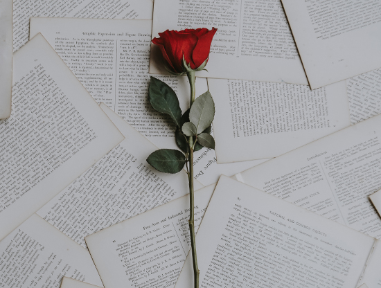 Top 5 des déclarations les plus poétiques d'Amours solitaires