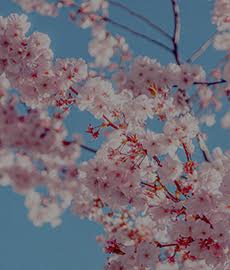 Les petits plaisirs du printemps (#spécial2021)